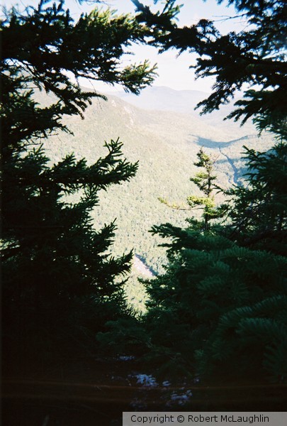 Natures Window