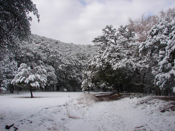 Christmas in the Mountains