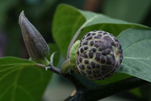 Nature's Keen Eye for Detail