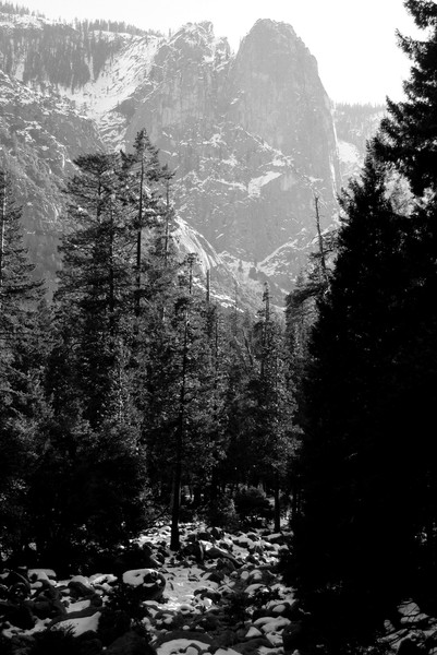 Cathedral Rock