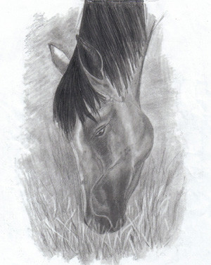 Grazing horse