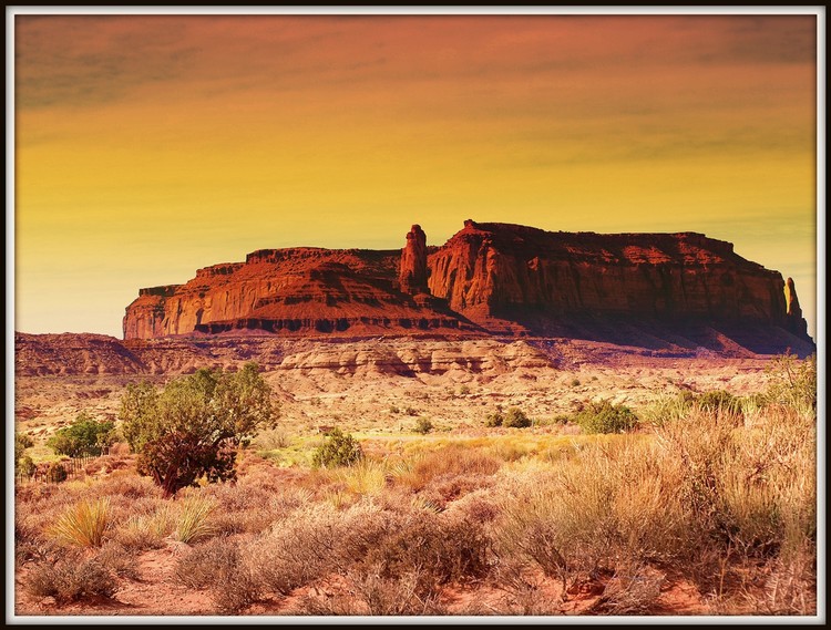 Arizona Landscape