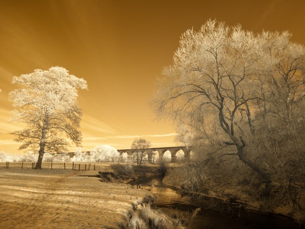 Cold snap in Dane Valley