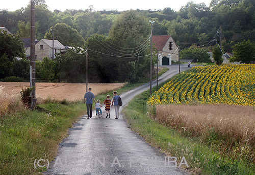 Country walk