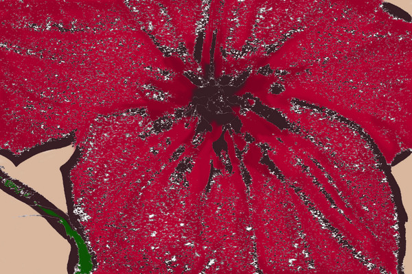 flower #1