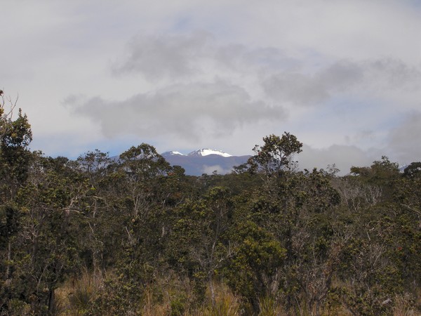 Snow At Mauna Kea