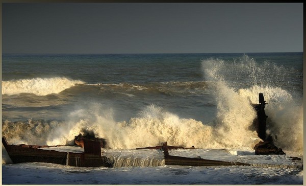 Surf