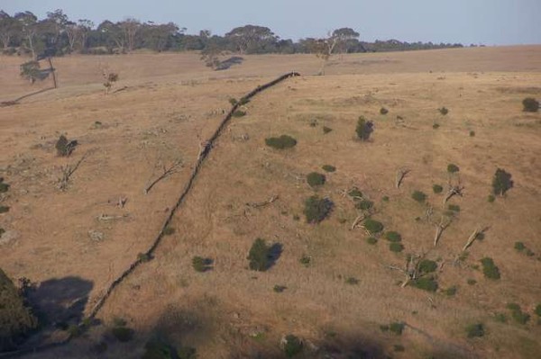 Exoskeleton landscape stone wall near Strathalbyn.