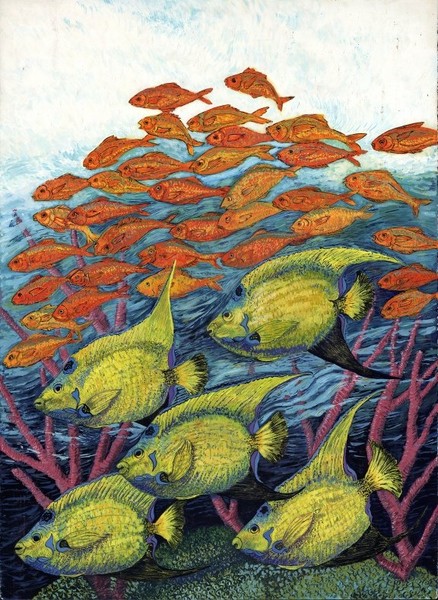 40 fish