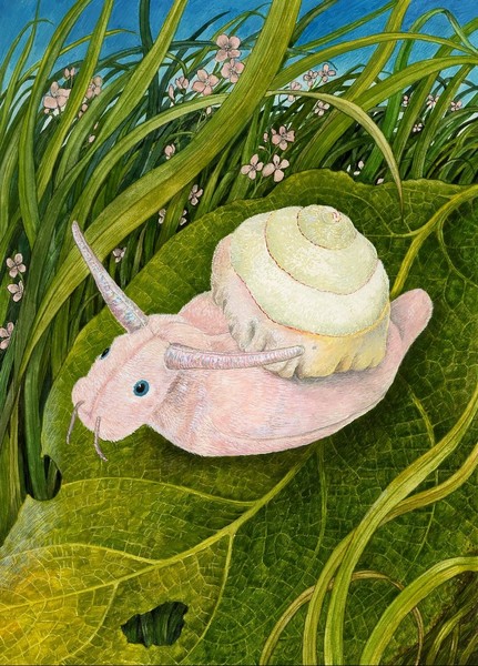 Snail