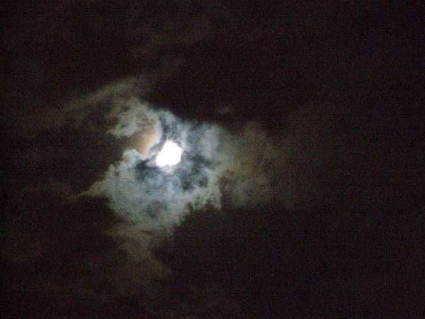 night