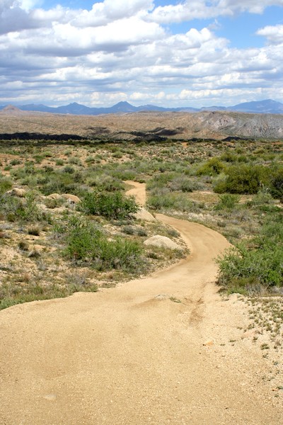 Winding Road