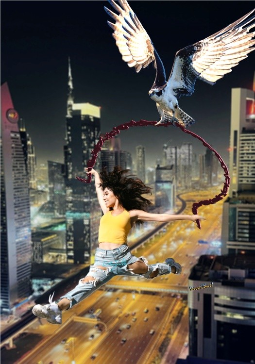 Every Night I Dream I Am Flying