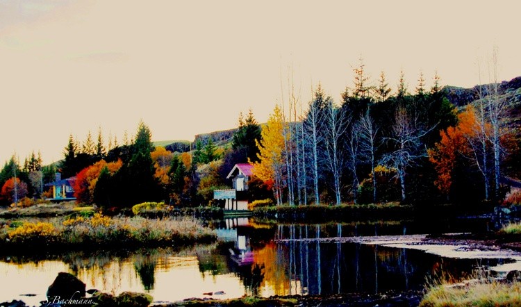 Thingvellir  Iceland.