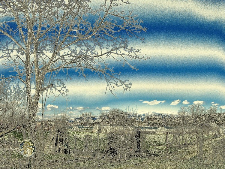 AZZURRO(omaggio all'amica Sharon)