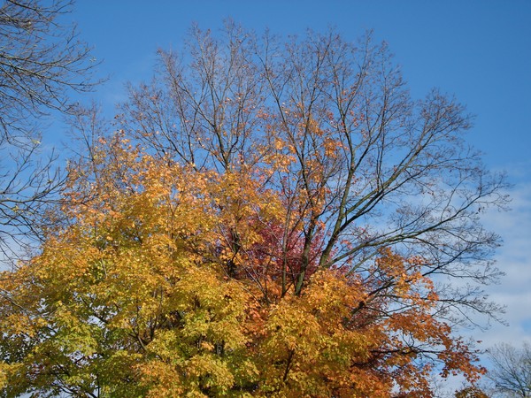 Colours of the Season