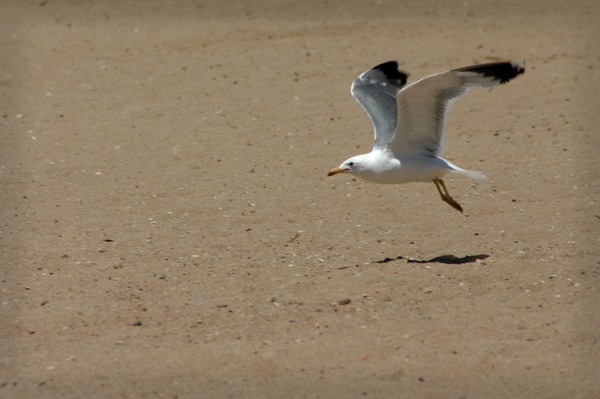 Taking Off