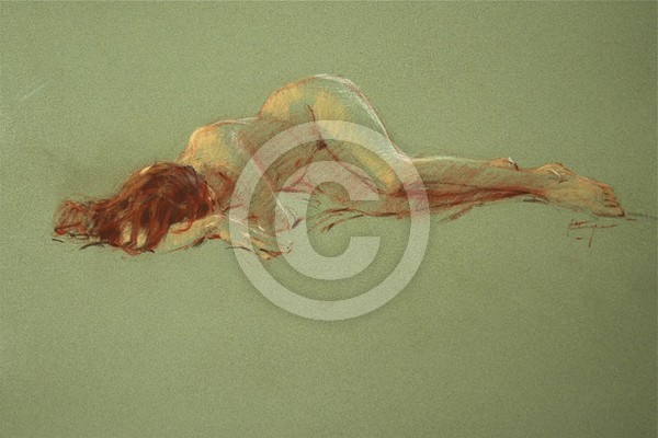 DSC Brianna 16 x 22 Cont'e