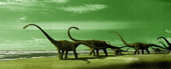 Diplodocus Beach