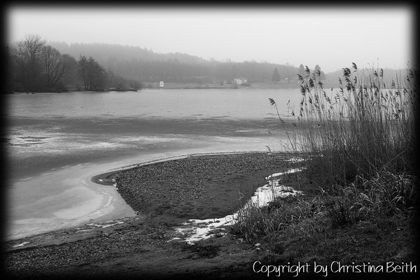 Cold Sea