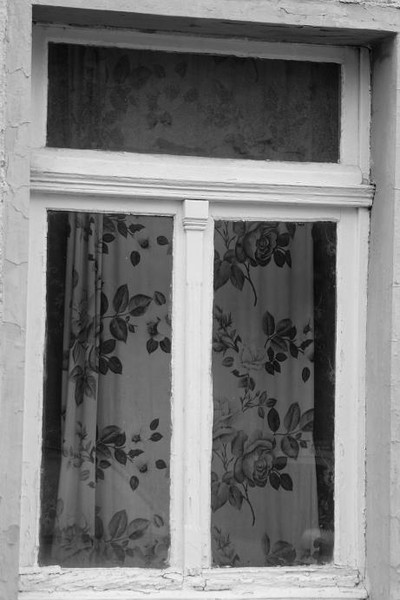 Window