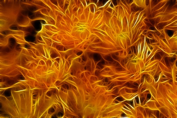 Fire Mums