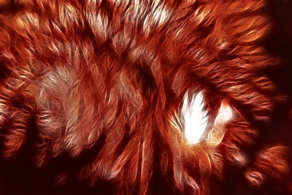 Flame in the Fire Tree