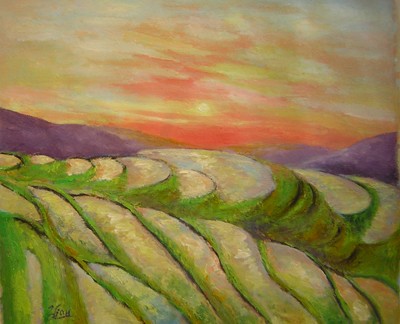 Ladder fields