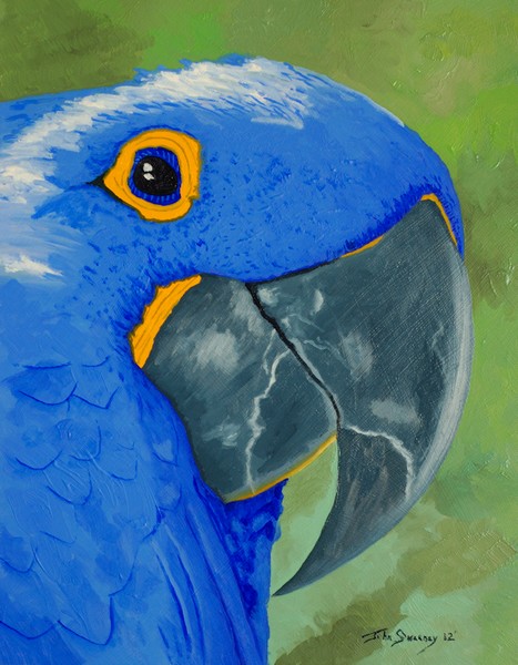 Basilio-the_Blue_Parrot