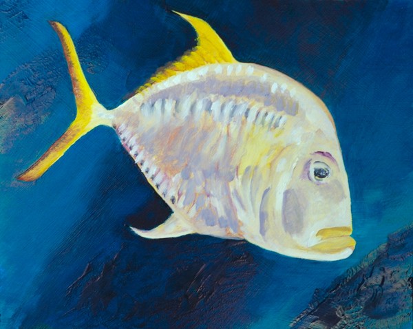 Grumpy Fish