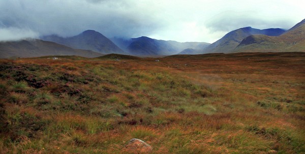 Moorland