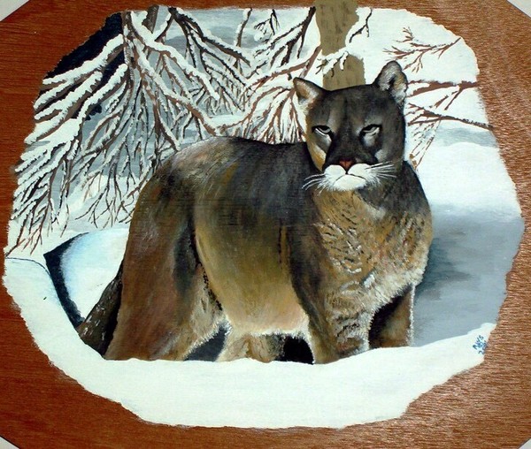 Mountain Lion