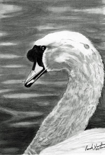 Swan's Song