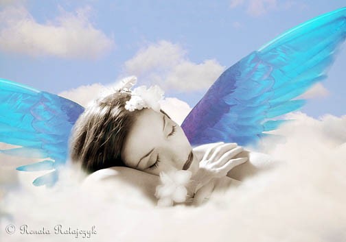 Sleeping Angel