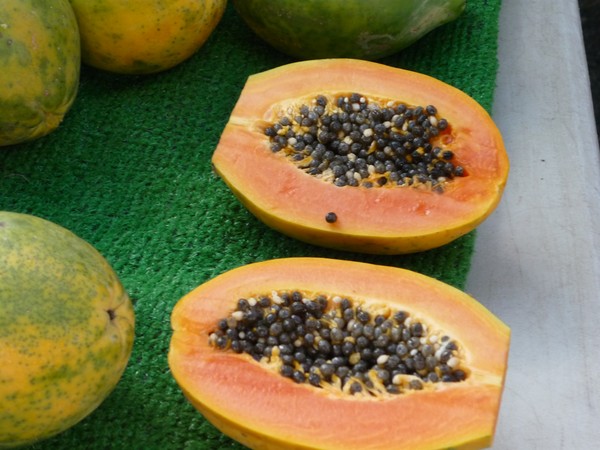 Hawaiian Papayas