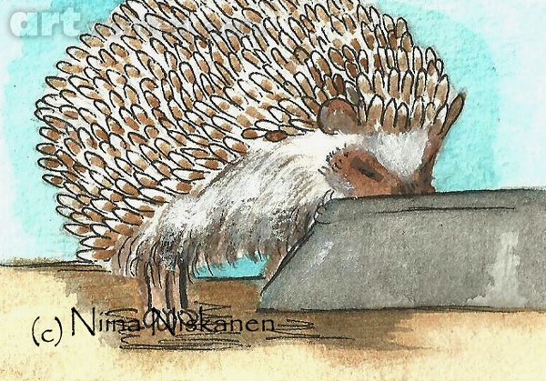 Hedgehoggie ACEO
