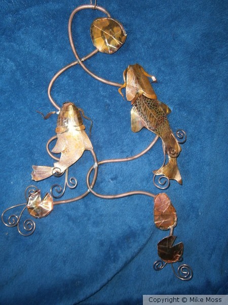 Koi Chase