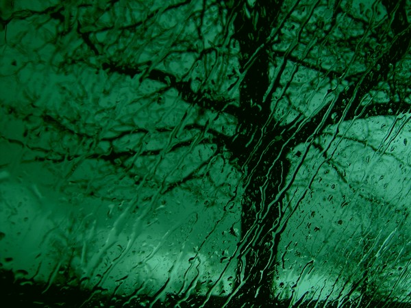 Emerald Tree of Hope