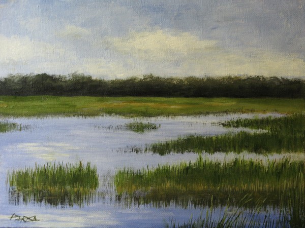 Wetland V