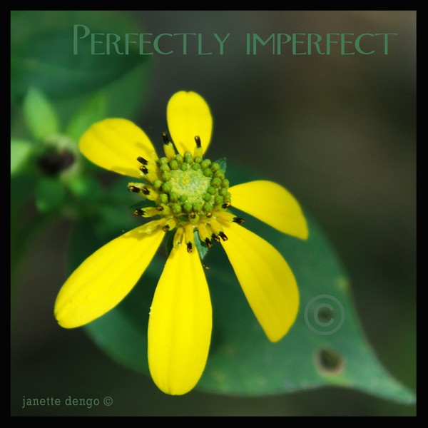Perfectly Imperfect