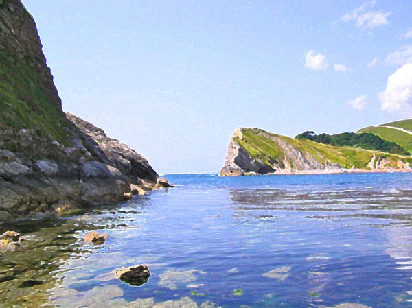 The Cove