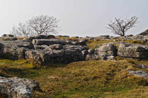 Limestone 2