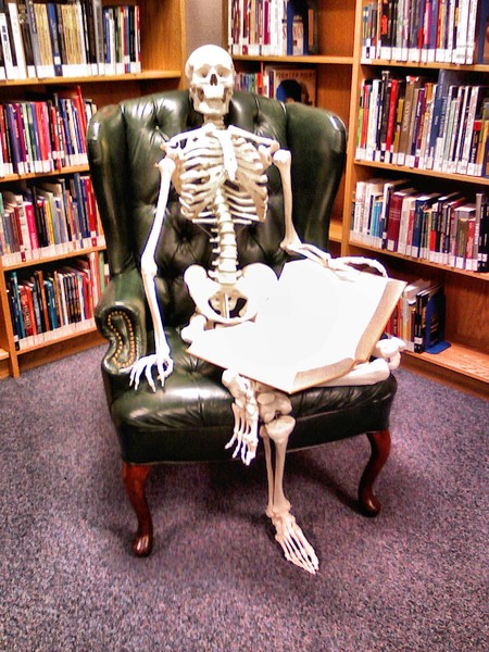 Studying Skeletal Remains