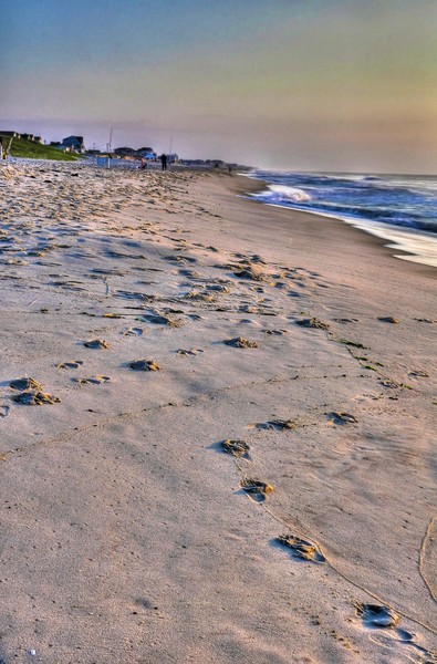 A Walk on the Beach