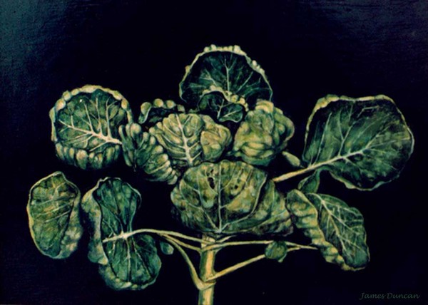 Brussel top