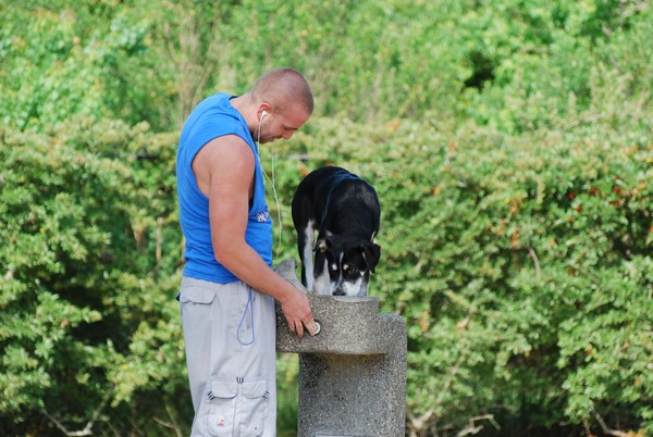 Thirsty Dog