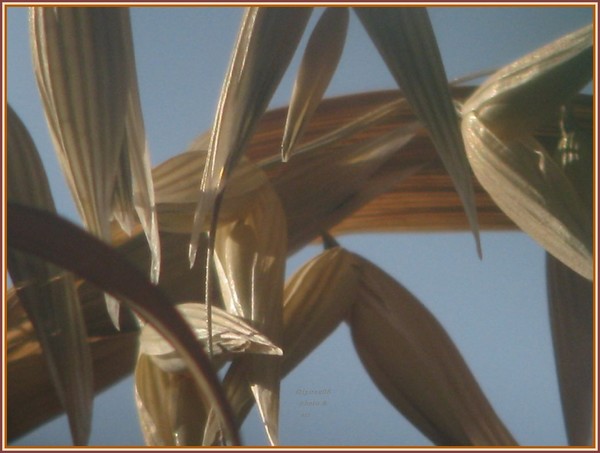 glory of september2008