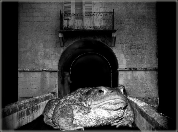 Fairy tale or nightmare?