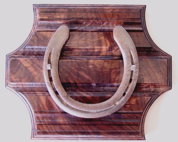 Walnut Burl Wood Wall Hanging Horseshoe Plaque