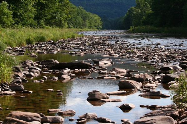 Schoharie Creek with Rocks